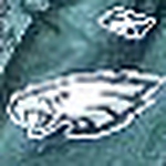 Profile Picture of Abraham Ortiz (@latinclarkkent1979) on Flickr