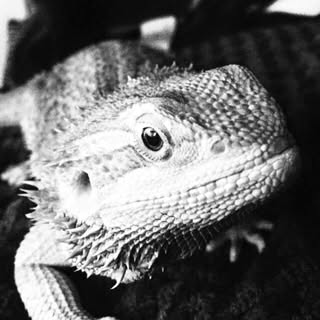 Profile Picture of Lucas Findlay (@lucas_findlay) on Instagram