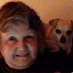 Profile Picture of Kim Sipes (@jerkymom) on Twitter