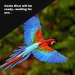 Profile Picture of Jerry Allen Costa Rica (@jerry_allen_costa_rica) on Instagram