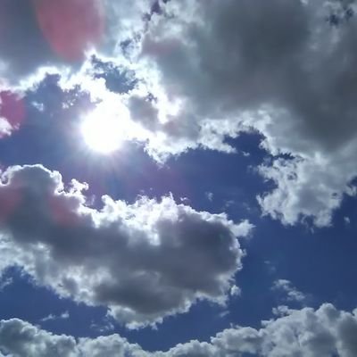 Profile Picture of Antoinette (@starshine_3) on Twitter