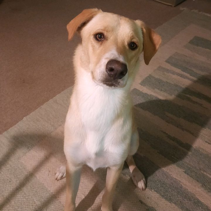 Profile Picture of Jane Pitchford (@theirritationsquad) on Tiktok