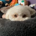 Profile Picture of Joseph Calisto (@Joseph-Calisto) on Facebook