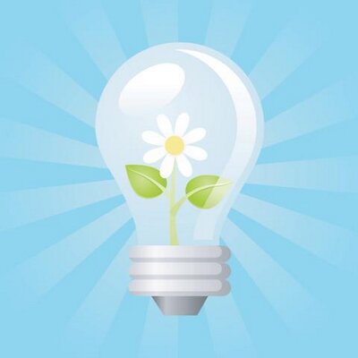 Profile Picture of Kim Qualls (@FleurChile) on Twitter