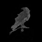 Profile Picture of Michele La Barbera (@michelelabarbera_) on Instagram