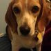 Profile Picture of Matthew Toland (@matthew.toland.96) on Facebook