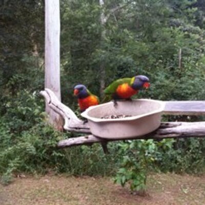 Profile Picture of Paul Roder (@froggg777) on Twitter