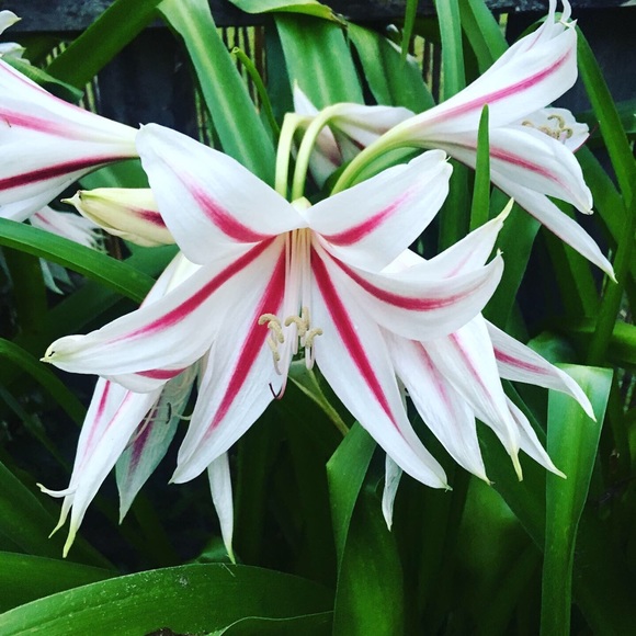 Profile Picture of J Jenkins (@natureatitsbest) on Poshmark