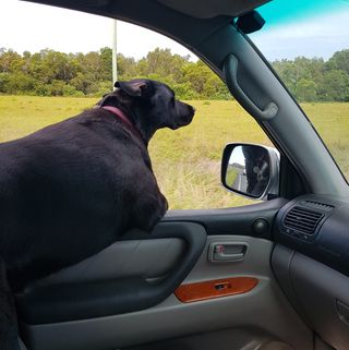 Profile Picture of Matthew Want (@matthew.want.3) on Facebook