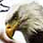 Profile Picture of Jim Borden (@james borden) on Flickr