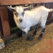 Profile Picture of Gereon Janzing (@gereonjanzing3050) on Youtube