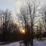 Profile Picture of Sealey (@sealeydorisz93) on Instagram