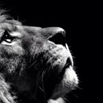 Profile Picture of Steven Lamonica (@steven.lamonica.35) on Instagram