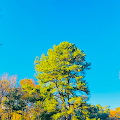 Profile Picture of Isaiah Watson (@isaiahWatsonTv) on Youtube