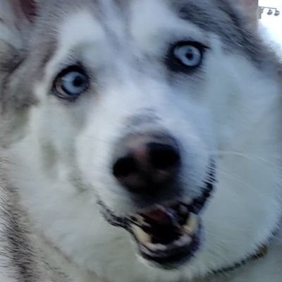 Profile Picture of Todd Etheridge (@ToddEtheridge3) on Twitter
