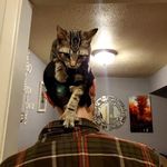 Profile Picture of Isabella Nocerino (@marbletovvn) on Instagram