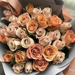 Profile Picture of kim.mako_ (@kim.mako_) on Instagram