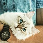 Profile Picture of Iriska De Alba Ruthenia (@iriskadealbaruthenia) on Instagram