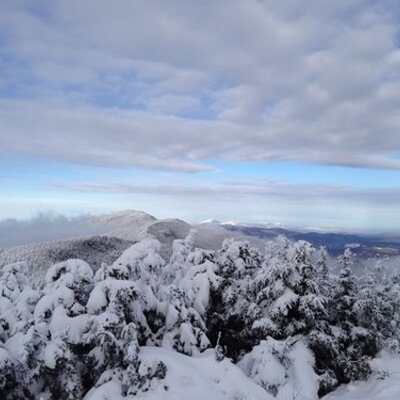 Profile Picture of William Quidone (@wquidone) on Twitter