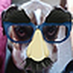Profile Picture of jamie dixon (@dixxxon13) on Flickr