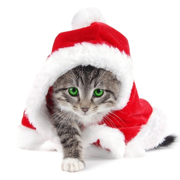 Profile Picture of Jacquee Hendrickson (@ancksunamun17) on Poshmark