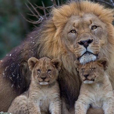 Profile Picture of Sham  Meretov (@D_Jon90) on Twitter