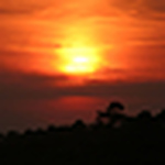 Profile Picture of Gary Graham (@ggraham) on Flickr