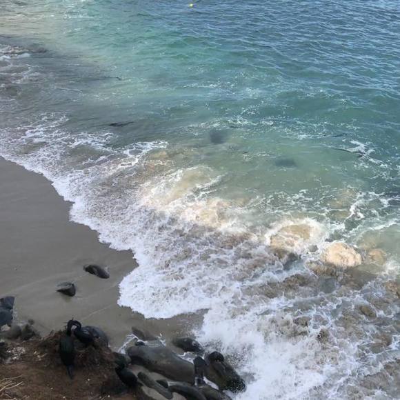 Profile Picture of Mary ellen Ciptak (@meciptak) on Poshmark