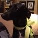 Profile Picture of Patti Griese (@pgriese67) on Pinterest