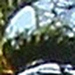 Profile Picture of Federico Rodriguez (@caligüeba) on Flickr