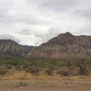 Profile Picture of Sonya Seabrook (@2fdd6544c9df486) on Twitter