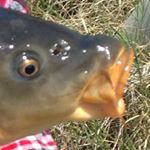 Profile Picture of Penman Matthew (@master___matt) on Instagram