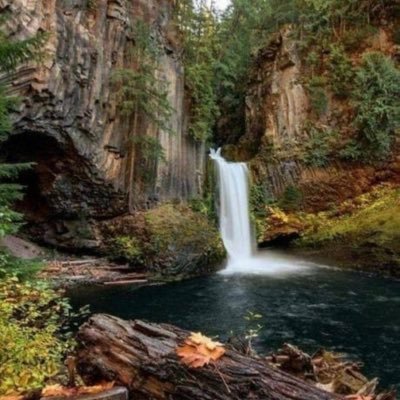 Profile Picture of Joan Keller. I Am ONE Of The PEOPLE (@joaniekeller75) on Twitter