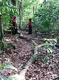 Profile Picture of Kaya (Mijikenda)on Wikipedia