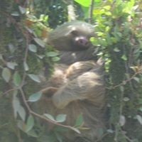 Profile Picture of Nancy Frische (@nancy-frische) on Quora