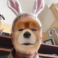 Profile Picture of David Warman (@david-warman-10) on Quora