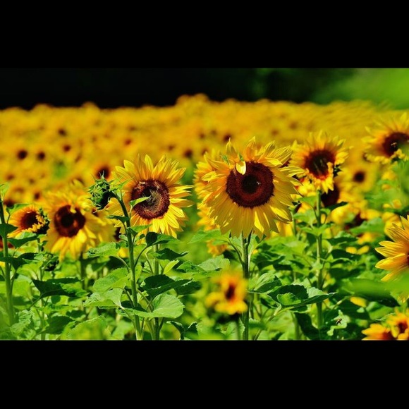 Taylor Moreland - Poshmark Profile Picture of Taylor Moreland (@taymorel94) on Poshmark