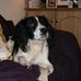 Profile Picture of Pat Clohessy (@pat.clohessy.5) on Facebook