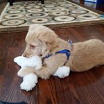 Profile Picture of Addison Collins (@addison.1021) on Instagram