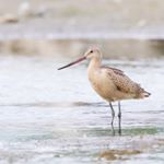 Profile Picture of Brian Stahls (@brianstahls) on Instagram