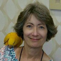 Profile Picture of Nancy Speed (@nancy-speed-5) on Quora