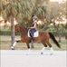 Profile Picture of Amanda Perkowski (@amanda.perkowski.9) on Facebook
