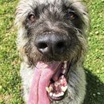 Profile Picture of Leia Jones (@adventuresofleiajones) on Instagram