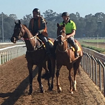 Profile Picture of Jon Hassall (@JonnyHassalloff) on Twitter