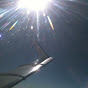 Profile Picture of Mike Anglin (@@wingnutz1976) on Tiktok