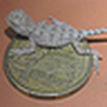 Profile Picture of Danny Brown (@geckodan2003) on Flickr