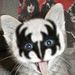 Profile Picture of Lisa Raskin (@lisaraskin46) on Pinterest