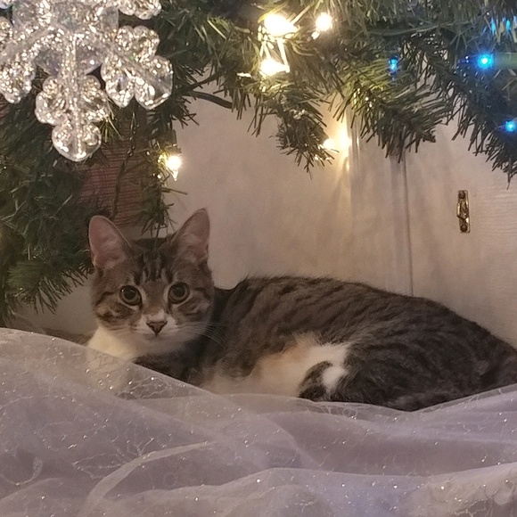 Madison Friar - Poshmark Profile Picture of Madison Friar (@madisonfriar) on Poshmark