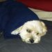Profile Picture of Andrew Berrios (@berrios7107) on Pinterest
