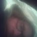 Profile Picture of David Putzer (@davidsaulputzer13) on Pinterest